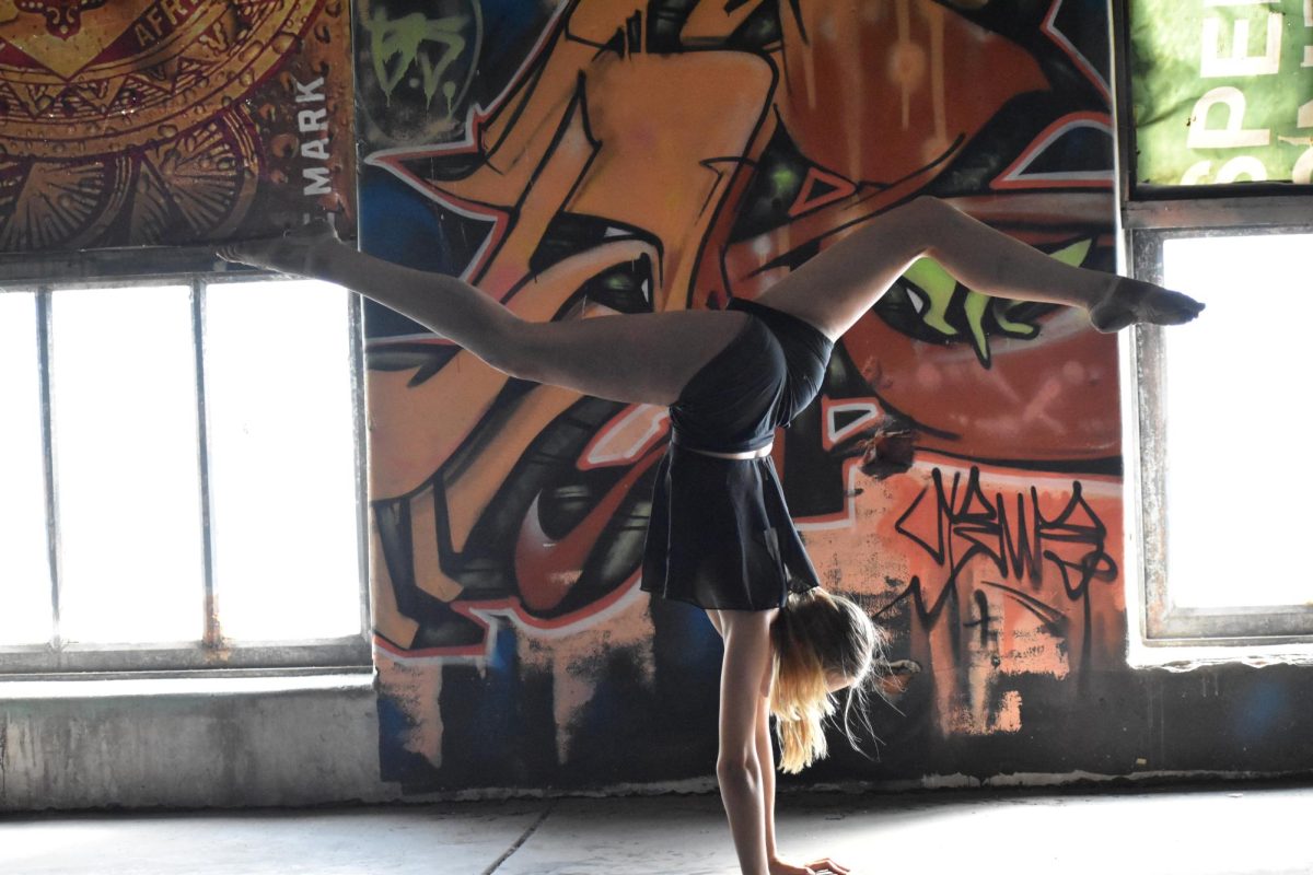 Laila Murosky, a senior at McDowell High School, dances on the top floor of PACA in downtown Erie. "Dance connects the mind, body and soul and tells a story like nothing else can. It gives you an outlet to express yourself and your feelings. When you can't explain with words, dance will," she says.