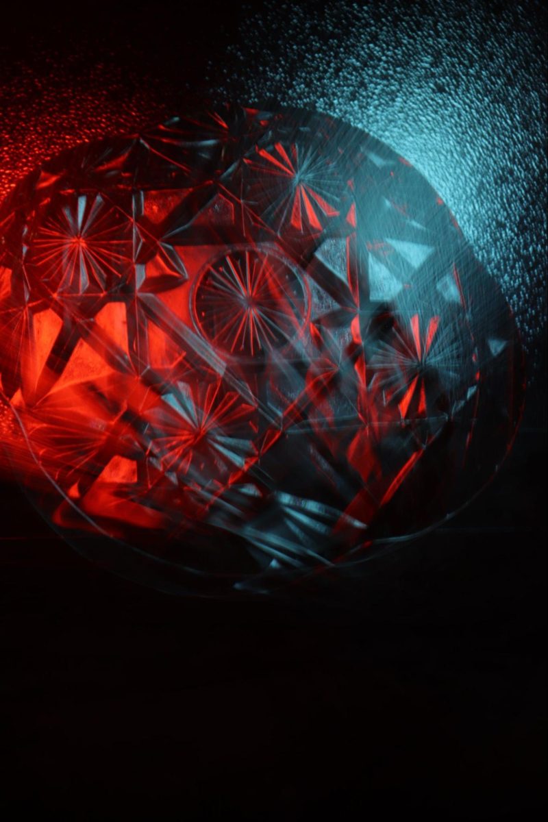 A Lesson in Macro Photography